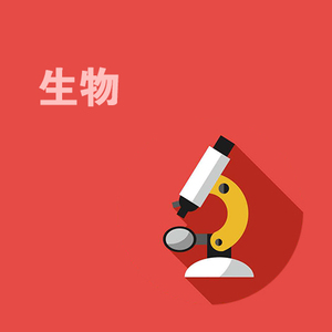 期末综合测试卷(一)